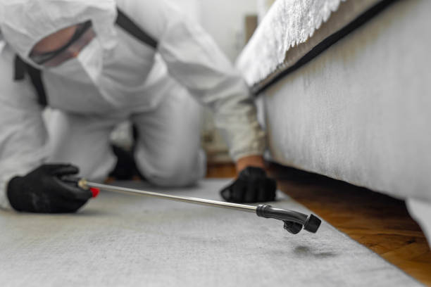 Professional Cockroach Control technician working in Chowan County County, NC